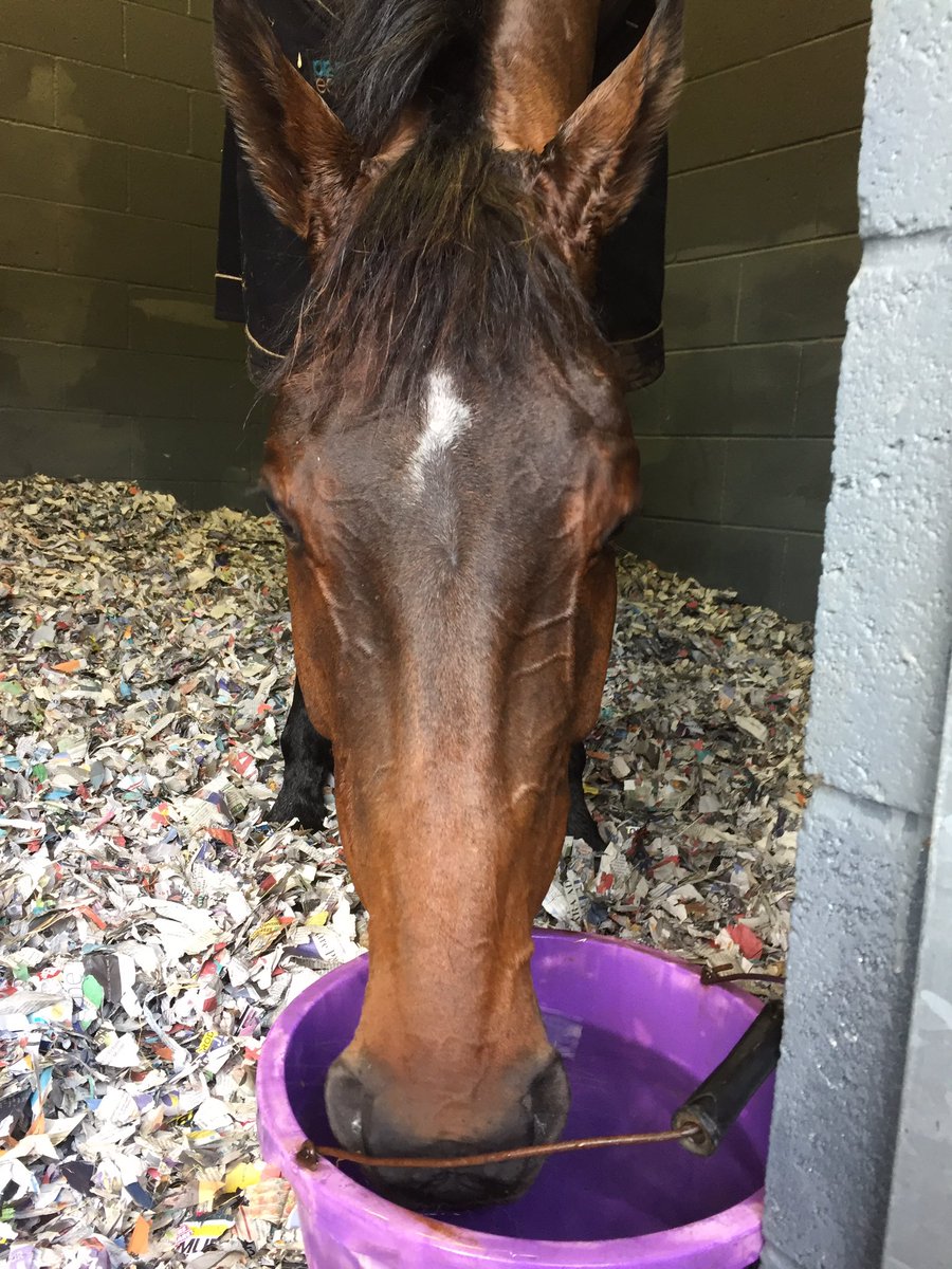 Shulton_Fay's tweet image. Whayy go on Donald! Well worth trip winner and turn out!!! Good day!!! Massive well done Jamie Bargary #deputycommander 🎉🎉🎉