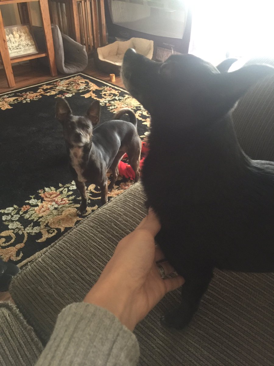 HehnerLady's tweet photo. Beggars. 🙏🌻🦃 #BlackFriday https://t.co/vAyHWsDrai