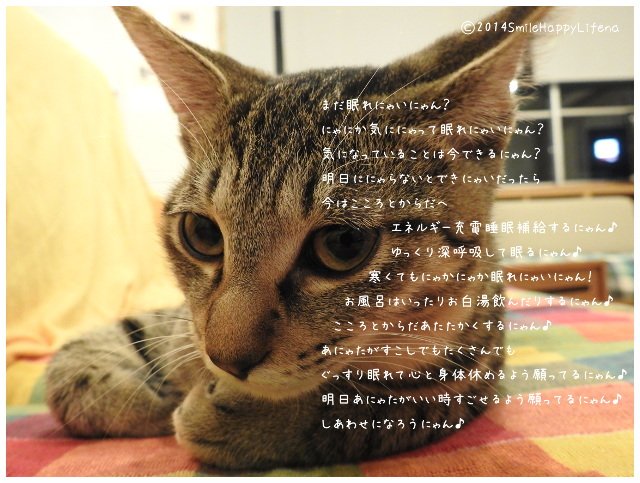 Twitterで画像を見る