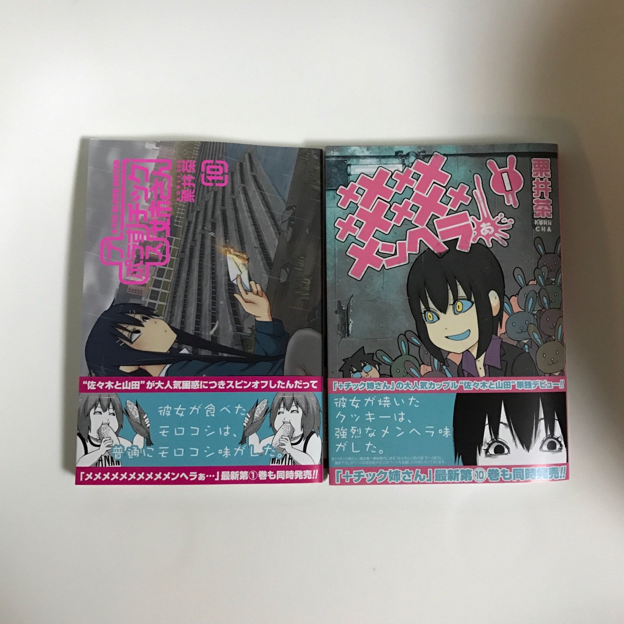 Etta 栗井茶 チック姉さん 最新10巻 作中に登場する佐々木サンと山田の話に新エピソードを追加した メメメメメメメメメメンヘラぁ 第1巻購入 もう姉さん の全てが好きすぎて本当に本当に待ってた10巻 姉さんの表情見てるだけで癒し