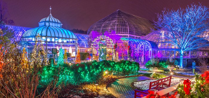 CMUWeekendWatch's tweet photo. The @PhippsNews Winter Flower Show & Light Garden kicks off this weekend, winter delight and splendor is free with your CMU id #FindFunCMU https://t.co/bCbuVZTwVV