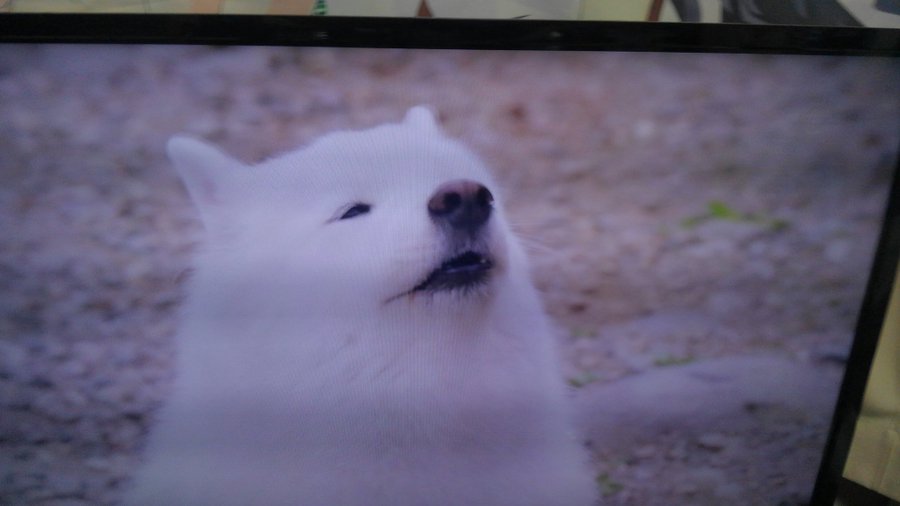 Auソフトバンクの連合軍で鬼退治 勇者ヨシヒコと導かれし七人 8話ネタバレと感想 ポンジのウザさ尋常じゃない