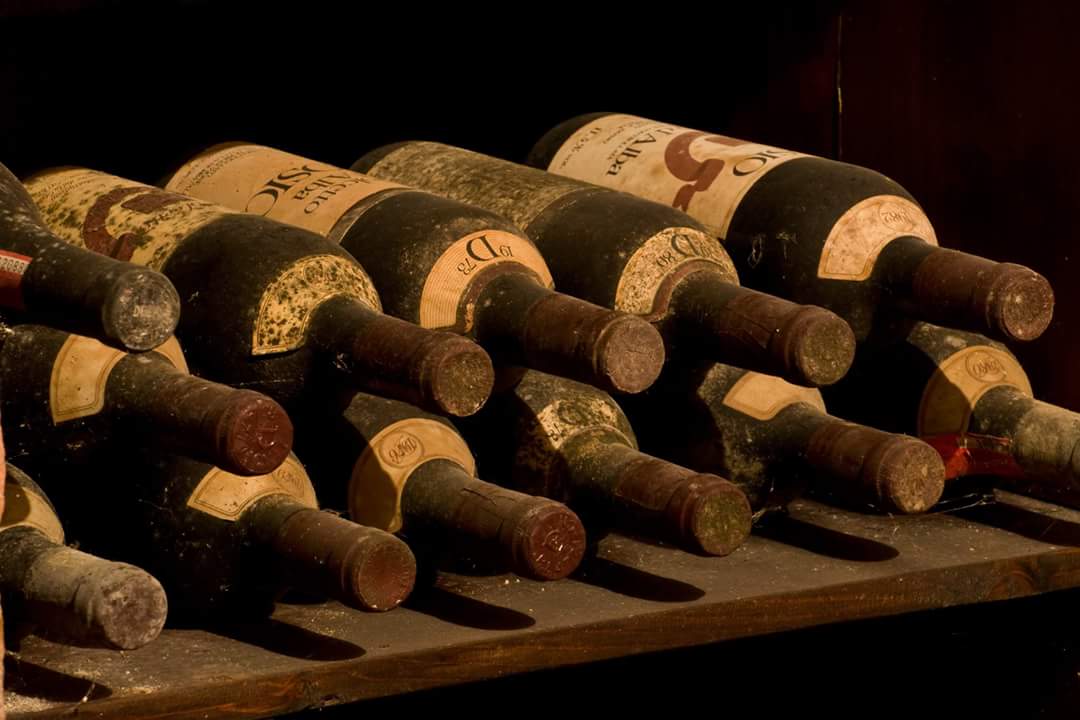 WelcomePiemonte's tweet photo. Barolo: #tour e #corsi di #degustazione . Maggiori info: https://t.co/nUWDPJf2oh #welcomepiemonte #barolo #langhe #Piemonte  @NonSoloBarolo https://t.co/ndcmmpIFoQ