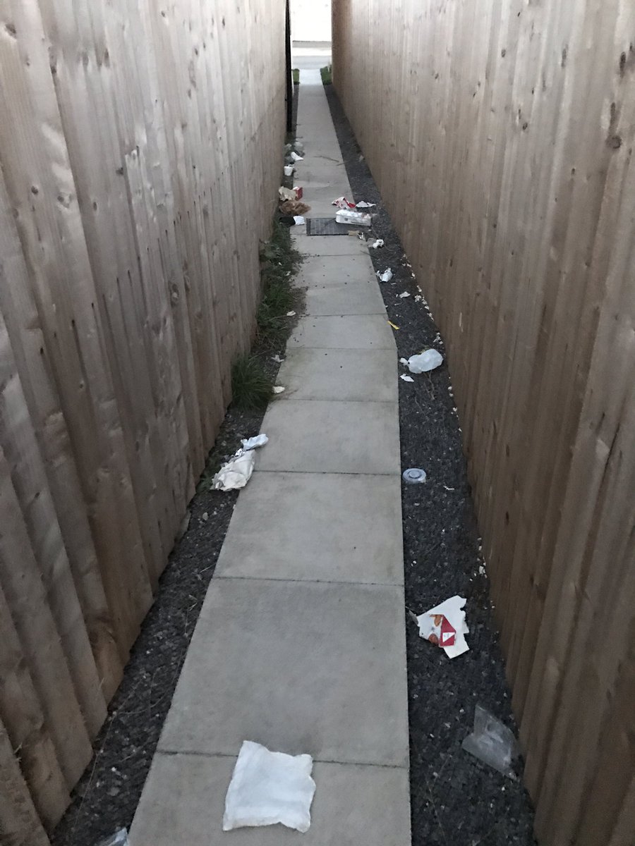 mat711's tweet image. This is disgusting and easily avoided with wheelie bins @VOGCouncil #Barry #Rubbish #KeepBarryTidy