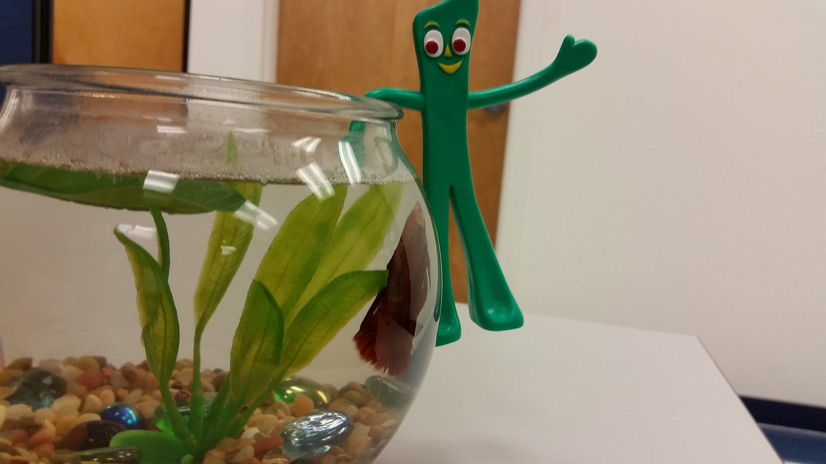 nfstc's tweet photo. When the boss is away, Gumby will play. #isanyonehere #promisewerenotshopping https://t.co/Qfjy2JESQ8