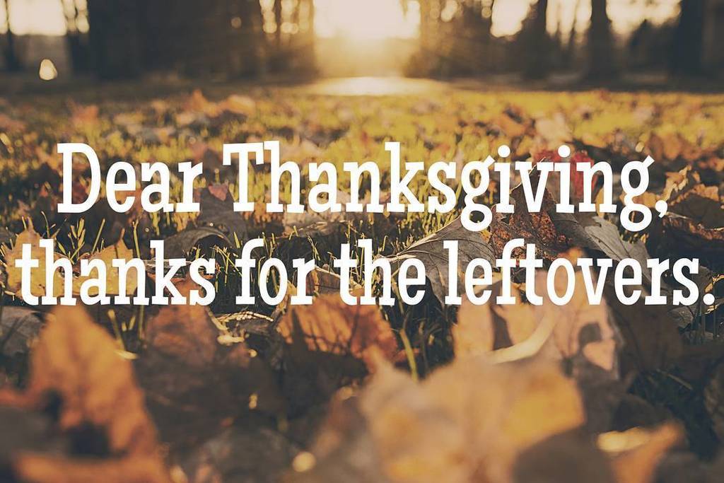 Appreciate it🙏 #thanksgiving #leftovers #gbr