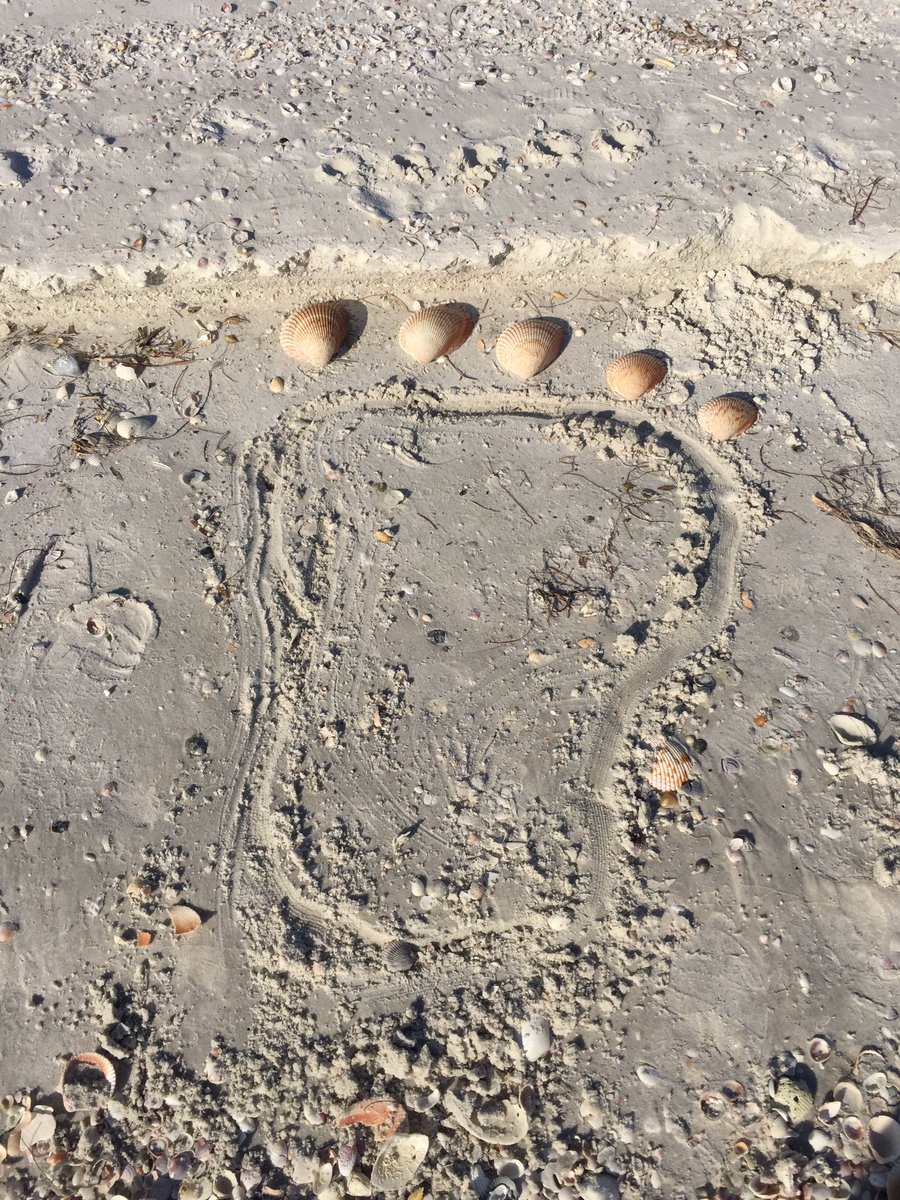 alan_schuele's tweet photo. Take only photographs. Leave only footprints!😃 https://t.co/lRG8vl2VTf