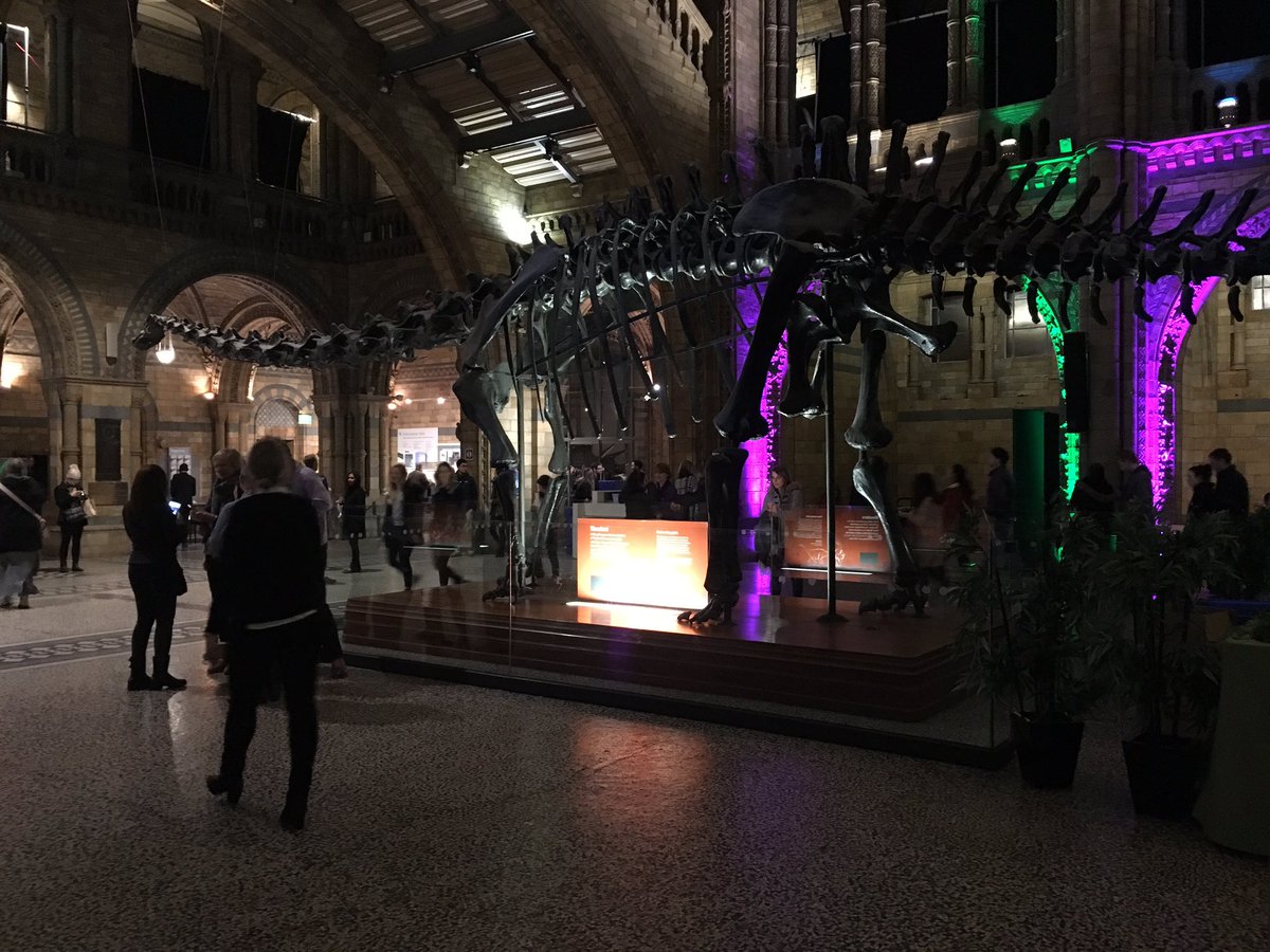 NHMdinolab's tweet photo. Just finished my last #nhmlate event with Dippy in Hintze Hall @NHM_London: feeling nostalgic https://t.co/AZbWH5GFqQ