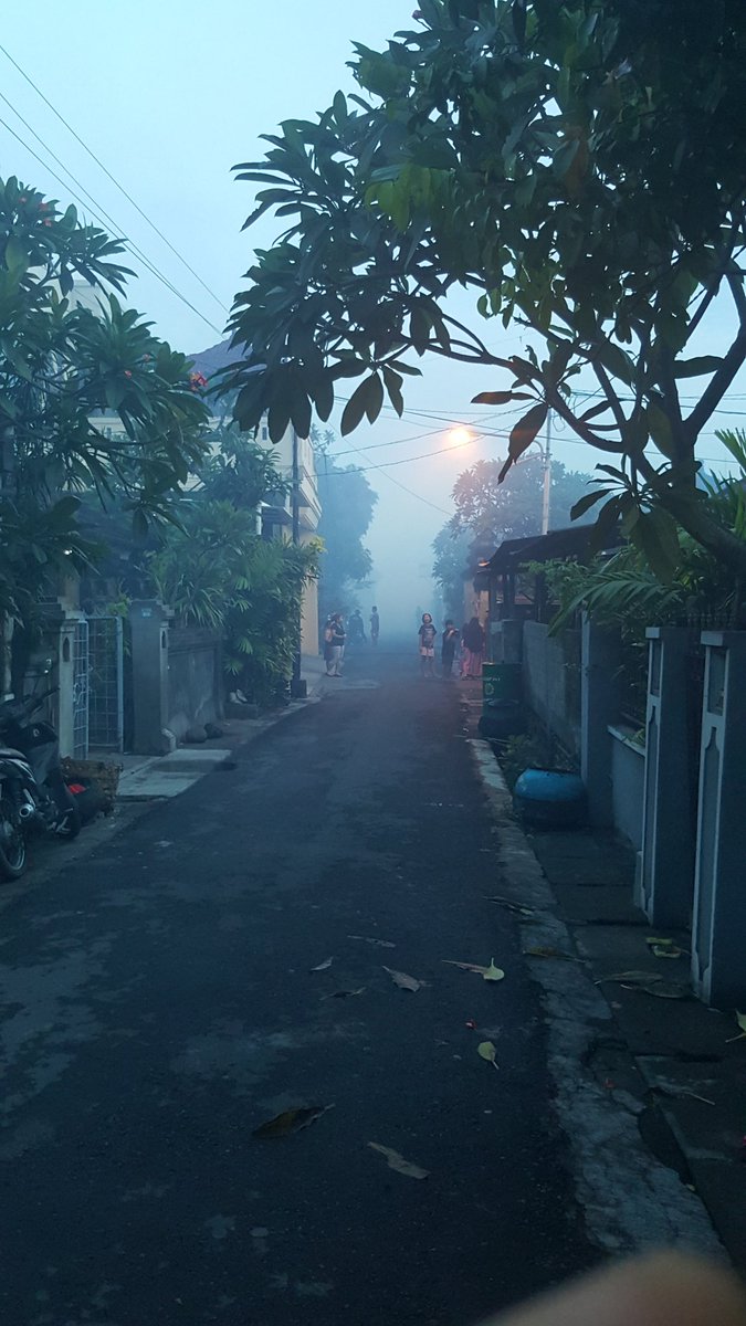 WhyGe's tweet photo. Woke up early for DBD's fogging #stopDbd https://t.co/IaBmEckCdY