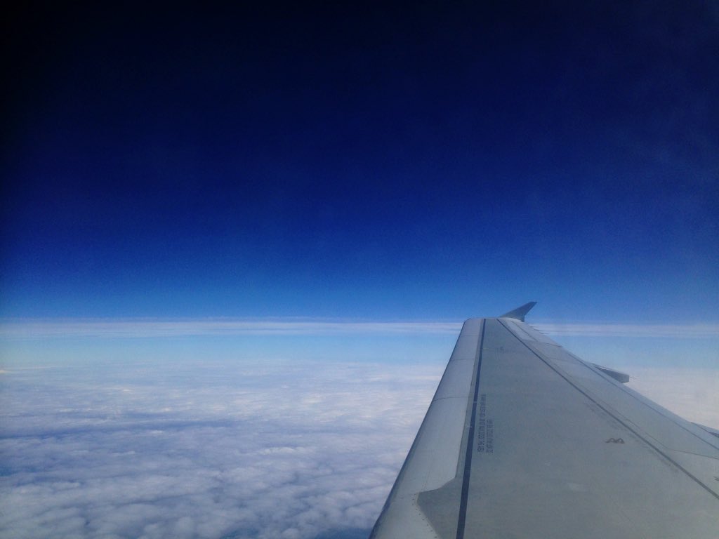 Sarah Stern tweet media