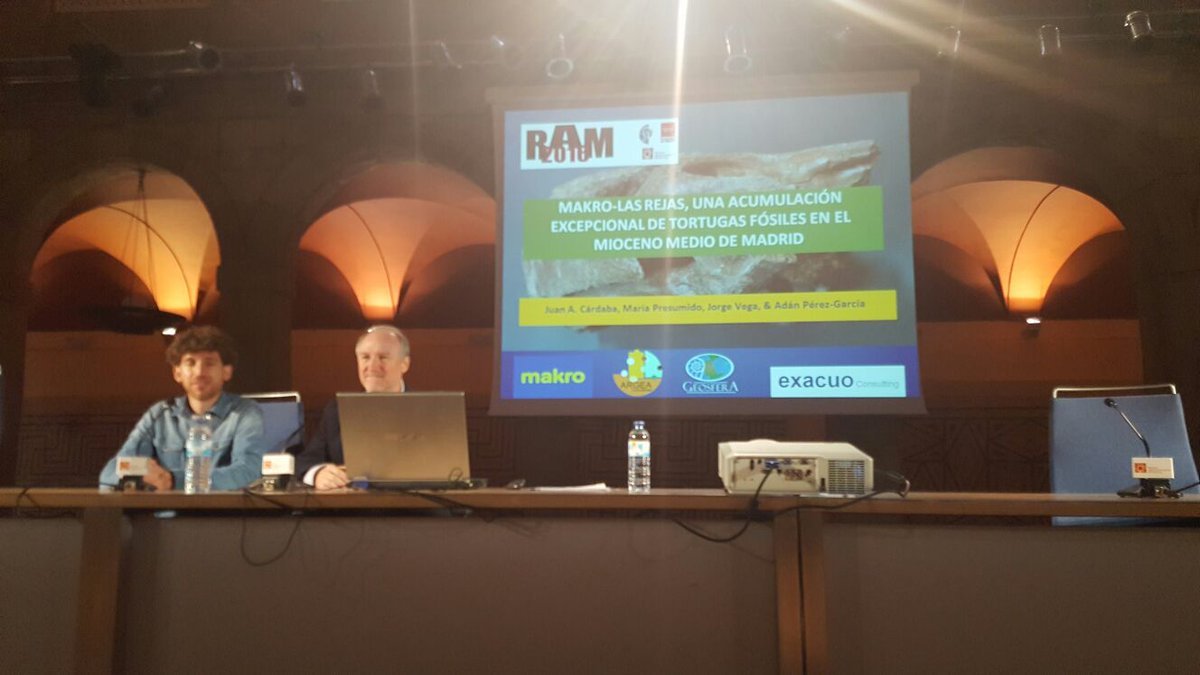 geosferainfo's tweet photo. Esta mañana presentamos en #Ram2016 el hallazgo de uno de los mejores yacimientos de tortugas gigantes miocenas del registro fósil https://t.co/hximnvEYP3