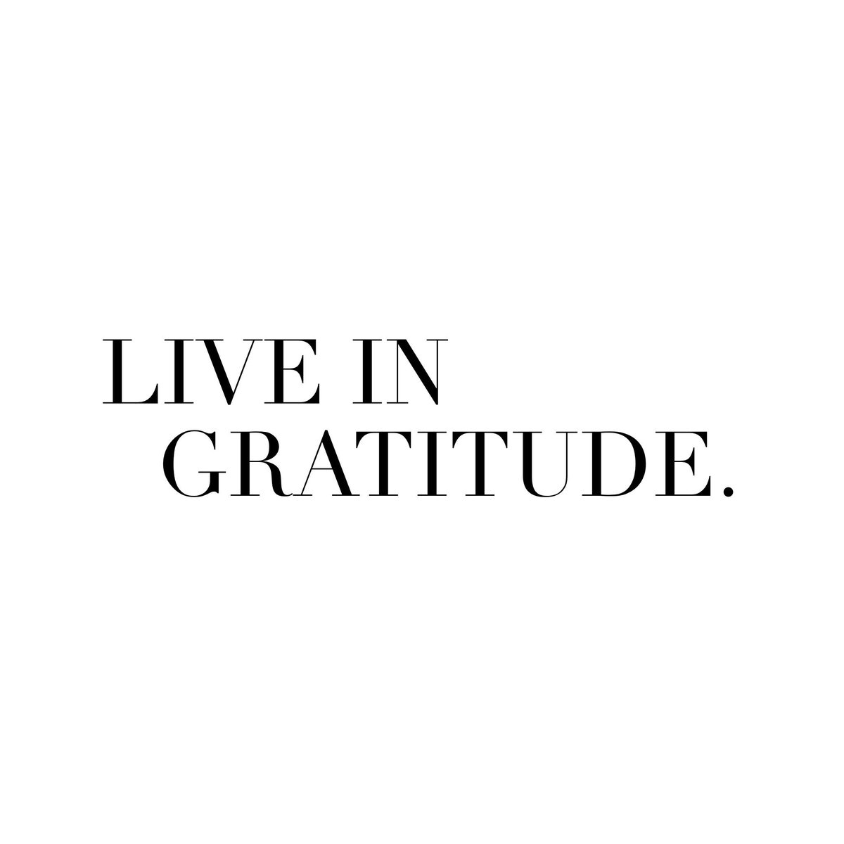 jordan_clique's tweet photo. When you focus on all that you have &amp; all that you are right now, that is where happiness is born #gratitude #loa #energyhealing #kwawesome https://t.co/Rj9qvpt76e