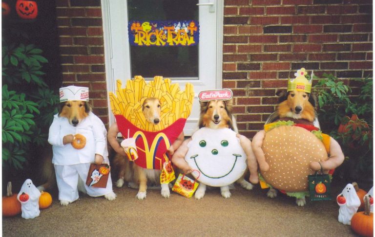 JPAWorkspaces's tweet photo. Winners of the Company Need to Feed Food Challenge to be announced tonight at Park Hall Harpenden @SustainableStA NO #dinnerinthedog https://t.co/gAoVSJ1pGZ
