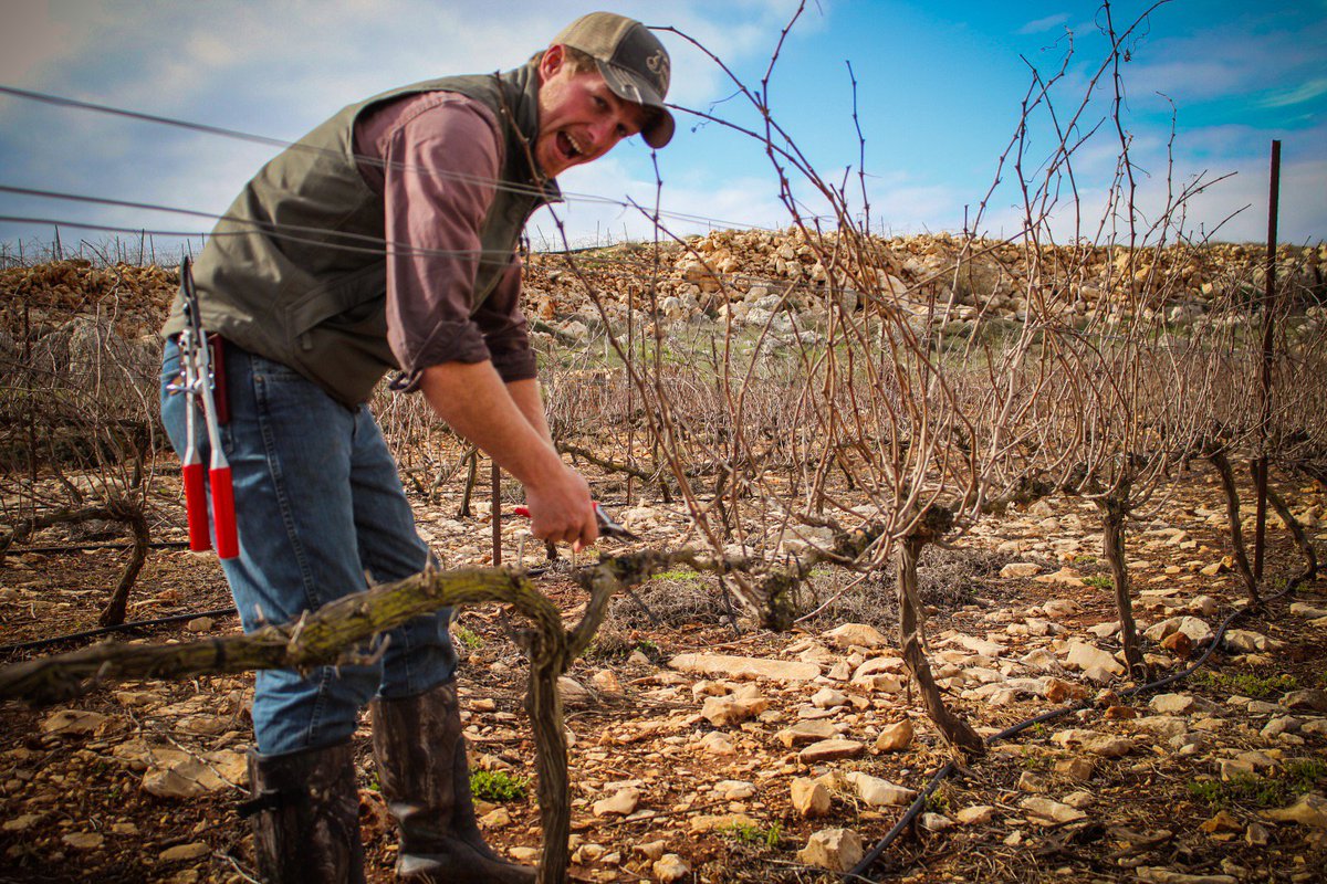HaYovel's tweet photo. The deadline to apply for the 9-week #Israel pruning trip is just a few days away! 

https://t.co/Xe4BYDbzU8 https://t.co/vKCZ6FVJcv