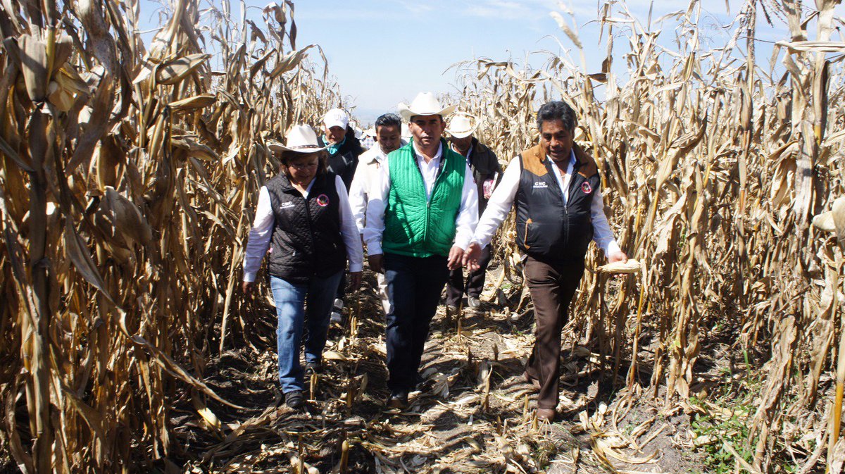 EsqVil's tweet photo. Cuando hay líderes que piensan en los demás pasan cosas excelentes #AltaProductividad un apoyo más para los campesinos @Esequiel_CNC1 https://t.co/NmF5sLglWo