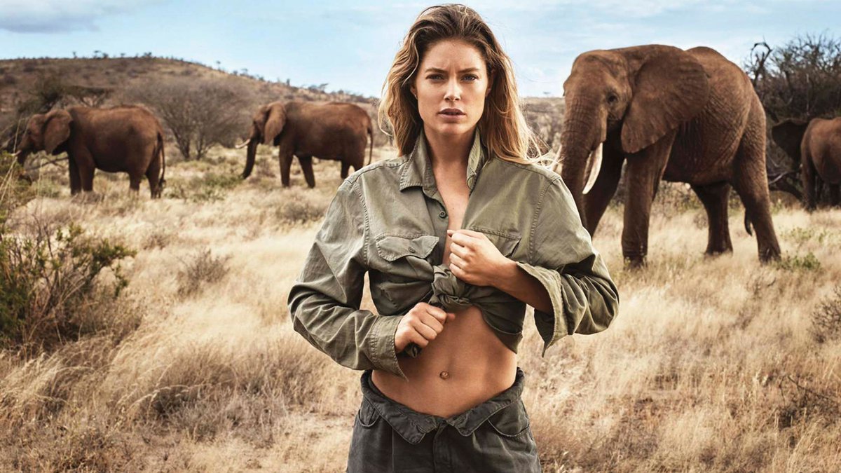 business's tweet photo. Supermodel Doutzen Kroes is on a mission to save the world’s elephants https://t.co/Se21MJWitP https://t.co/ogNmobDs85