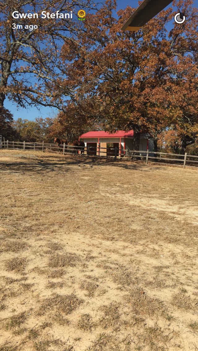 GwensSnaps's tweet image. 11.25.16 #FunFilledDay