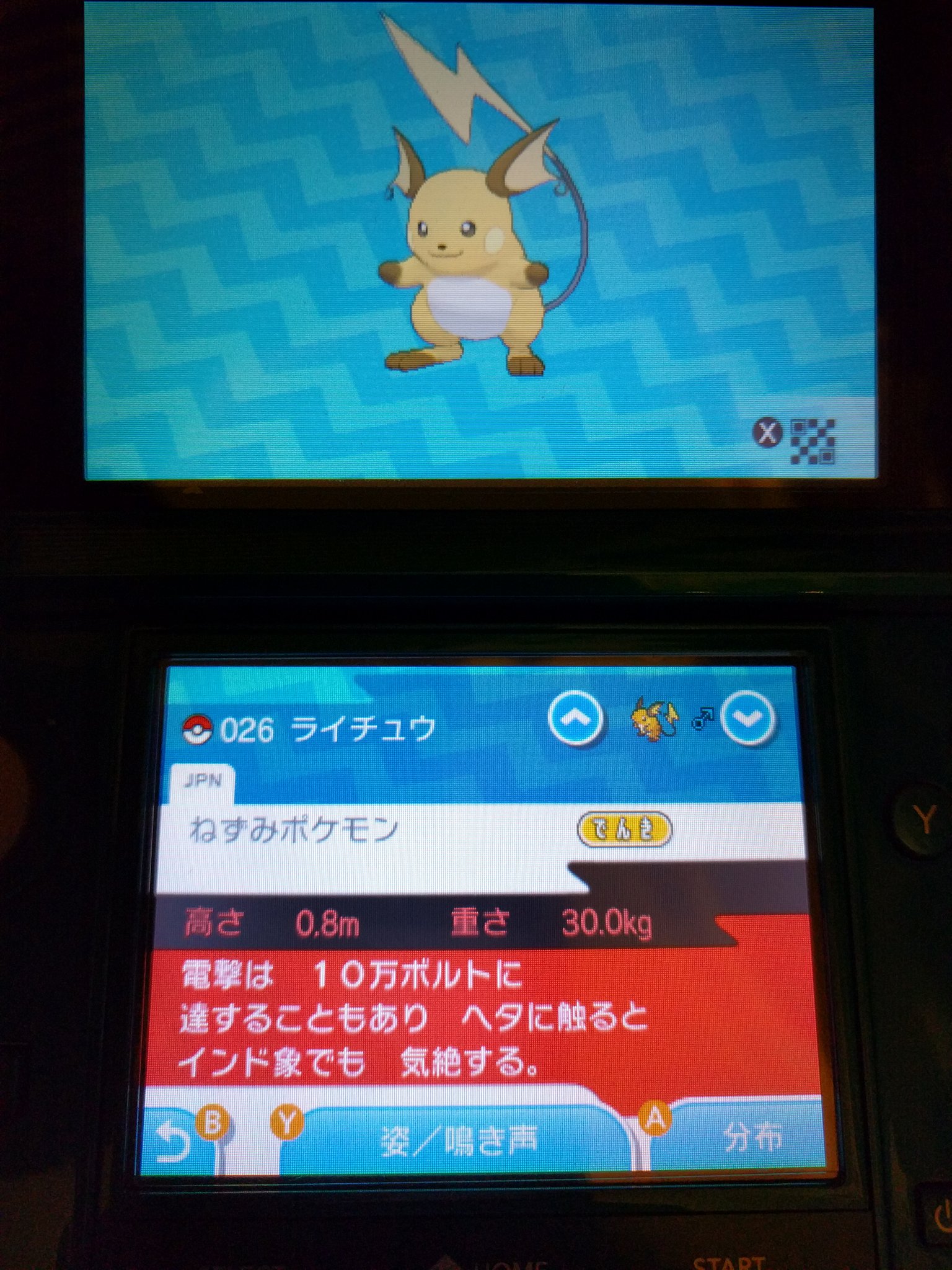 たかさおじさん おい やめろよ ポケモンの生態系を詳細に描いて ウルトラビーストという特異を出した上で インド象はやめろ T Co Kt2najmjzs Twitter