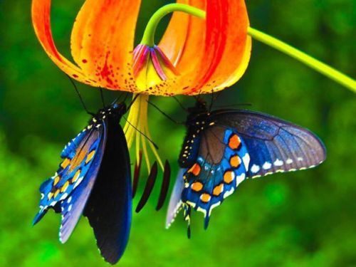 mon31pr's tweet photo. #FelizViernes 🎉
Rodeémonos de personas que dan
Luz , color , risas y música 🎵🎶🎼
A nuestros días 🙌💃💜
#placerdevivir 🌸🍀🌊🌞🍃🍁😊
@Moniquerrima https://t.co/4j529qjzGy