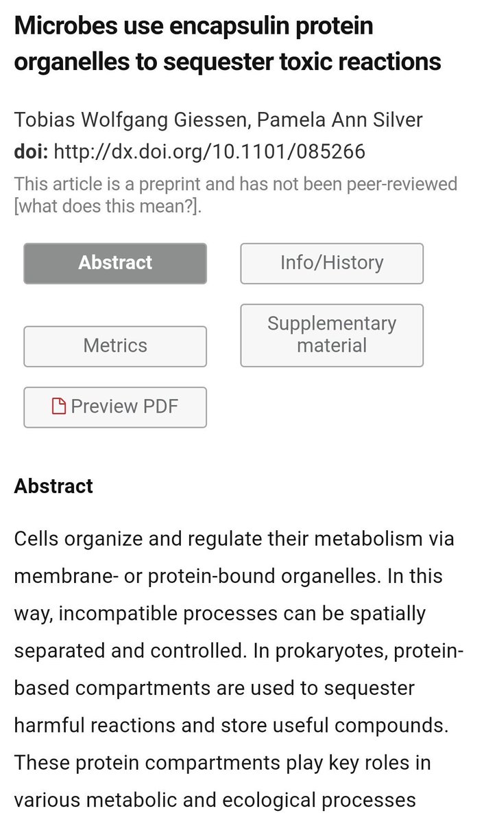 msmjetten's tweet photo. possible role of encapsulin protein complexes in ao #anammox metabolism & #nitrosative stress & #iron https://t.co/AGlqlSXHlF https://t.co/xPydPeoqUx