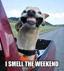 NSFAT_FirstAid's tweet photo. Have you got that #FridayFeeling #FirstAid https://t.co/vgUCglvHnq