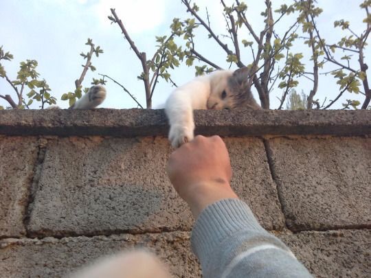 SajTheOne's tweet photo. That one friend who's always there for you.. https://t.co/FoXkNkH5Xx