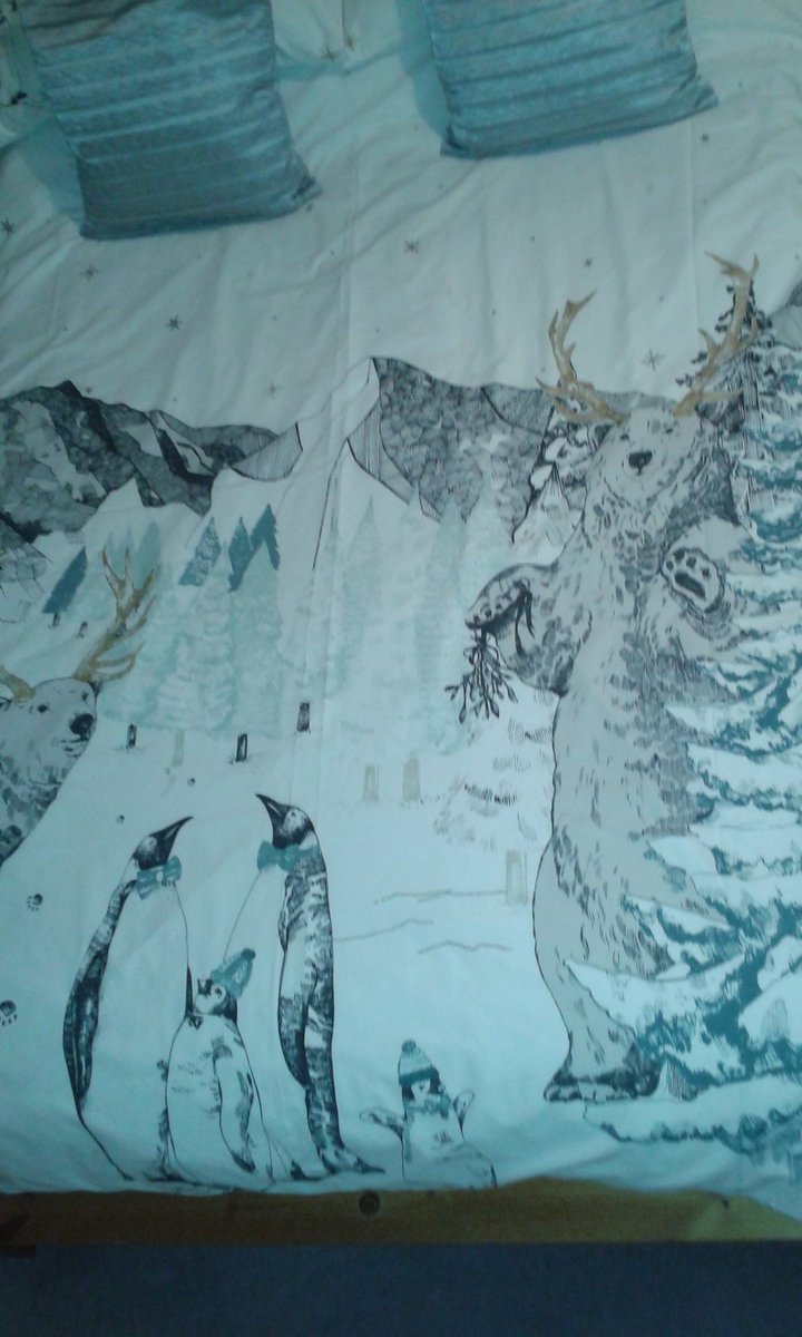 justtwoagain's tweet photo. Feeling very festive #Christmas duvet set @marksandspencer 😊 https://t.co/tDSgpUJPBE