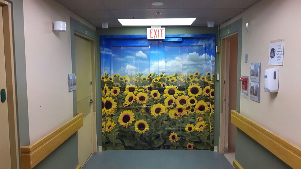 pelicansigns306's tweet photo. A few jobs from this week. National Access Cannabis and Luther Special Care Home. #yxe #alwaysagoodsign https://t.co/hrzagGAwfN