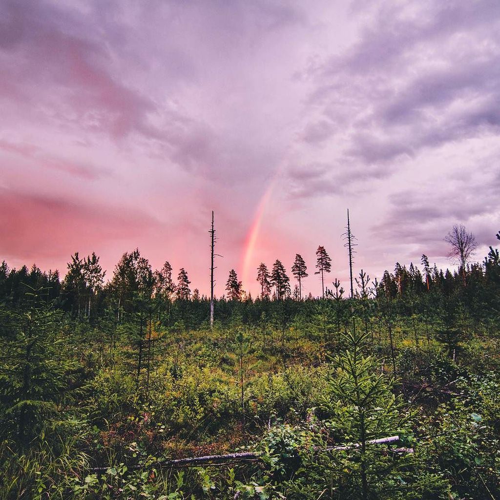 _ulalla's tweet photo. Follow the rainbow, it may lead you to brighter days 🌈 Have a great weekend!
#chasingrain… https://t.co/PAISdNNjRF https://t.co/6OxMflsNv9