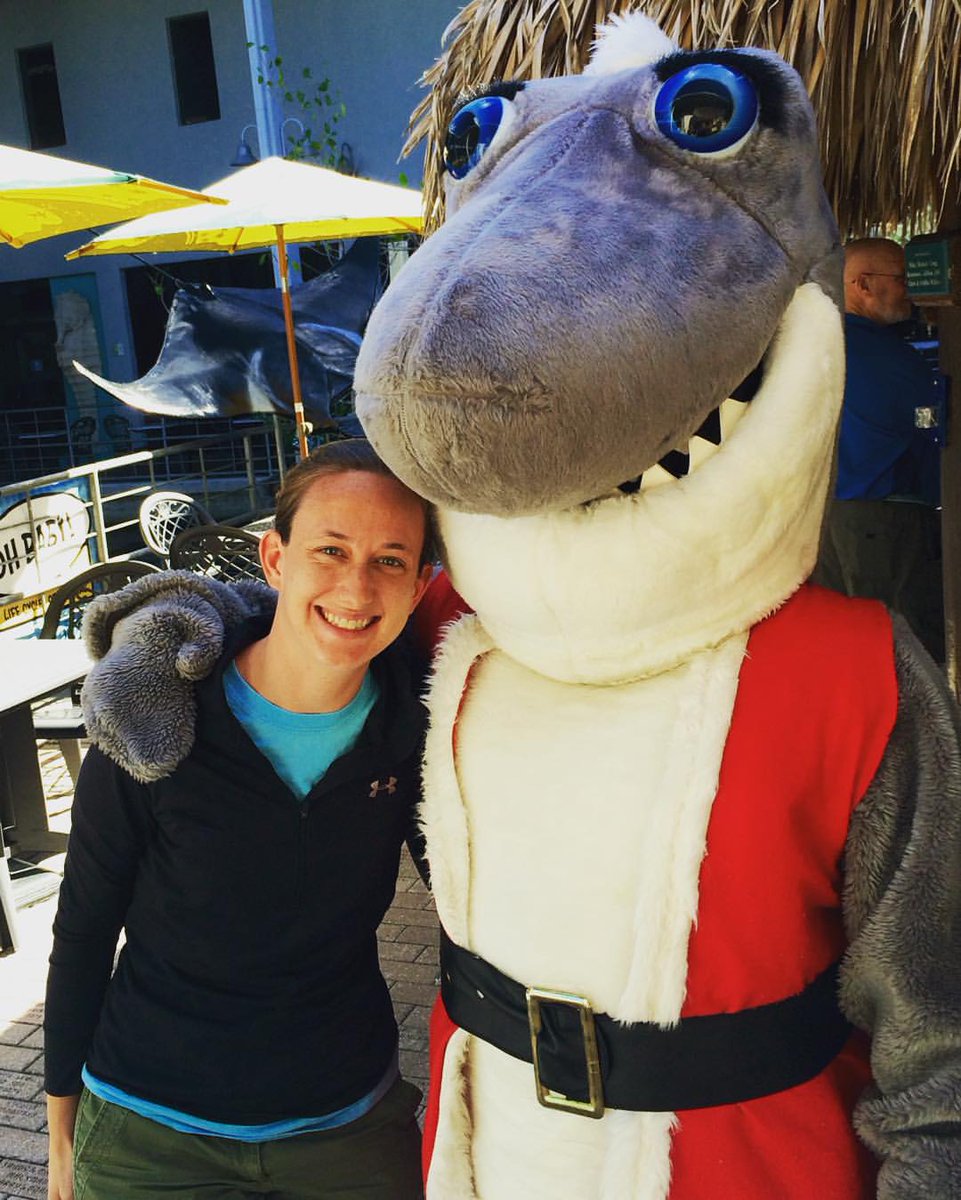 MoteMarineLab's tweet photo. Santa's helper shark, Santa Jaws, will be @ Mote Nov. 26 &amp; Dec. 17 from 12-2pm. Visiting him is FREE with paid admission to Mote Aquarium! https://t.co/hGC4pG9g64