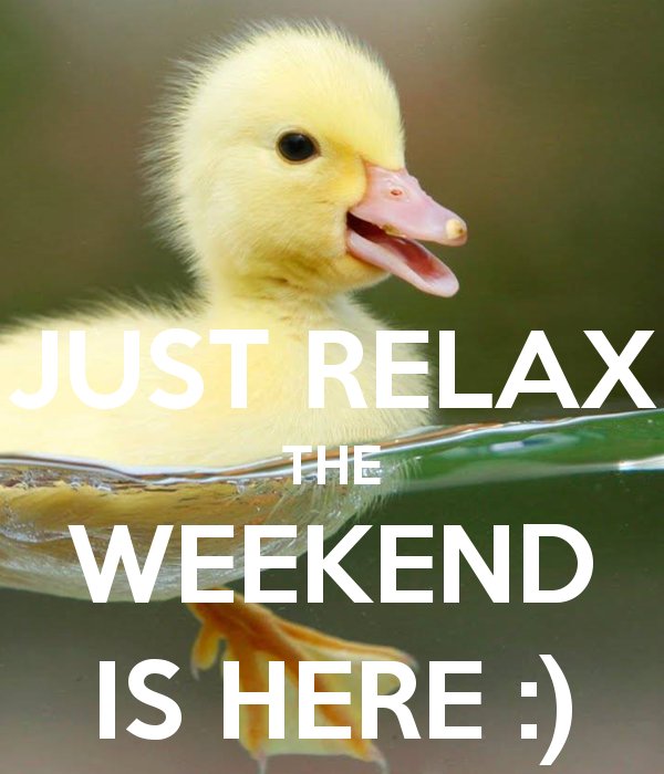 AffordSelfStora's tweet photo. #relax #cuteduckling https://t.co/GvubhqC9cq