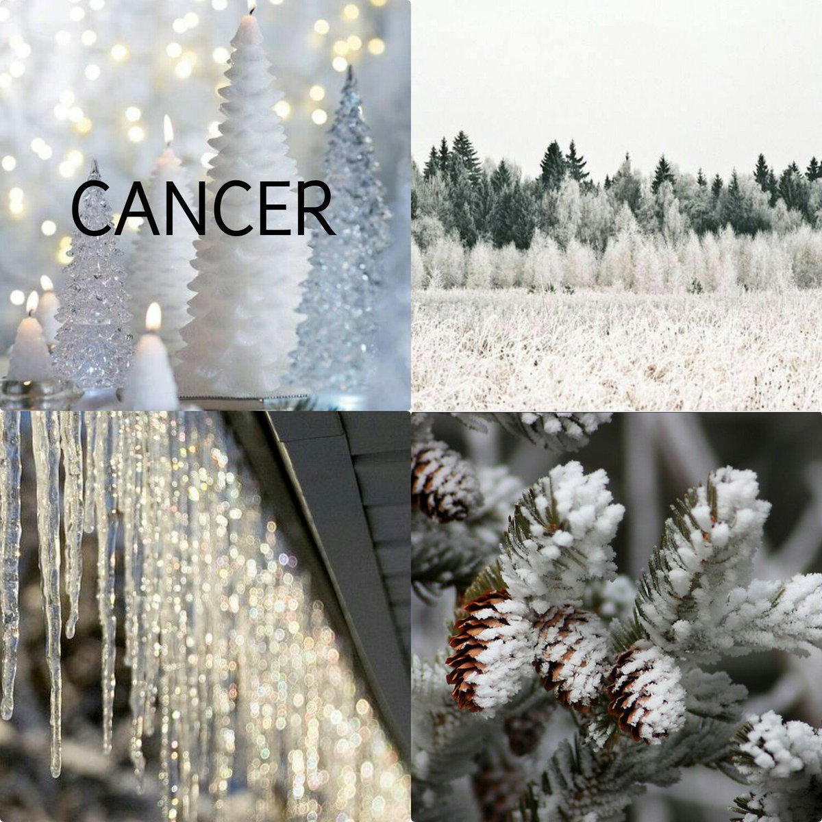 astrnebula's tweet photo. winter aesthetics https://t.co/tx6te15nhv