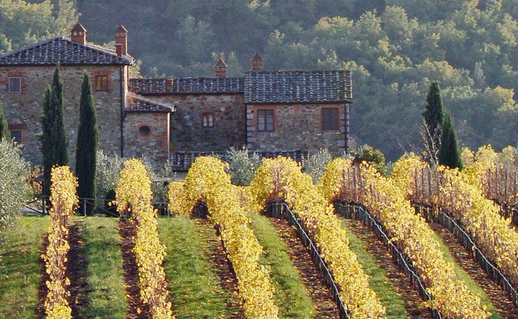 arcanumwines's tweet photo. Quintessential autumnal views across our Tuscan estate. https://t.co/T5jUIFigDF #PostcardsfromItaly https://t.co/rOtafcEu87