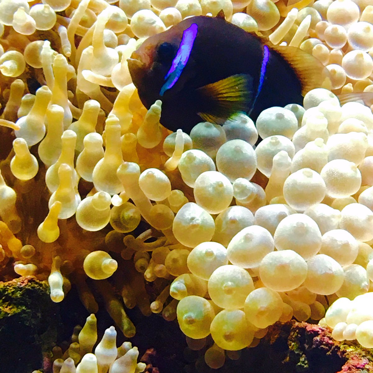 AlpineGr's tweet image. #Explore #more in #Crete