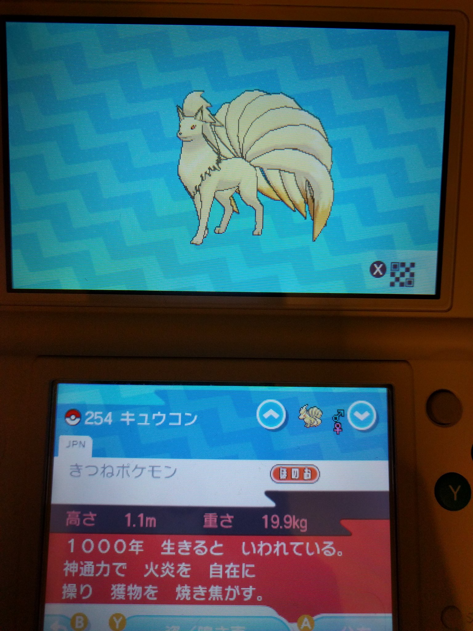 たかさおじさん おい やめろよ ポケモンの生態系を詳細に描いて ウルトラビーストという特異を出した上で インド象はやめろ T Co Kt2najmjzs Twitter