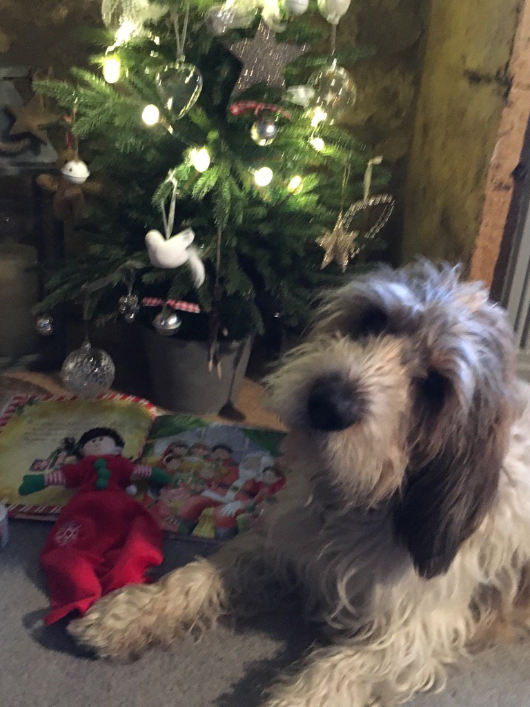 eboptv's tweet image. @TheButterflyC @ElfMagic its beginning to look a lot like #Christmas #Elves #Herbie