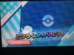 サンムーン 色違いポケモンゲット 初めてゲットした色違いポケモンは プレイ日記 ポケモンサンムーン攻略日記