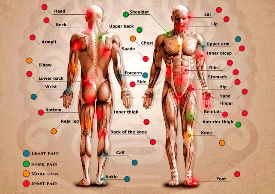 Khalil on X: Getting a tattoo? This body location versus pain