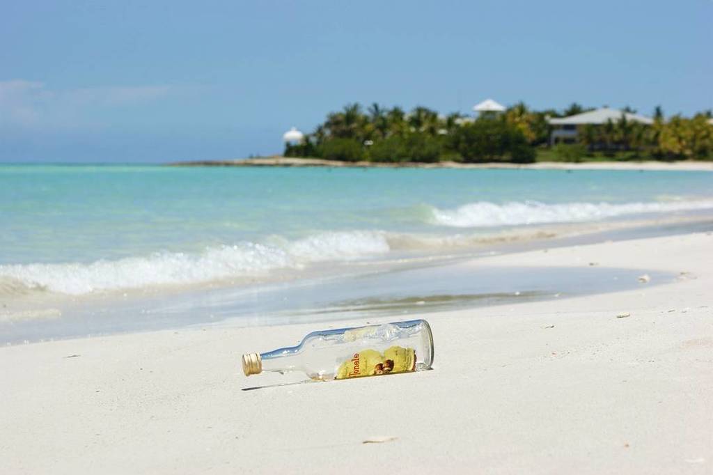 reisenblog's tweet photo. Flaschenpost Iberiostar Varadero, Kuba

#strand #beach #varadero #iberostarvaradero #flasc… https://t.co/kLBYaeU8g4 https://t.co/JT194qXwwQ