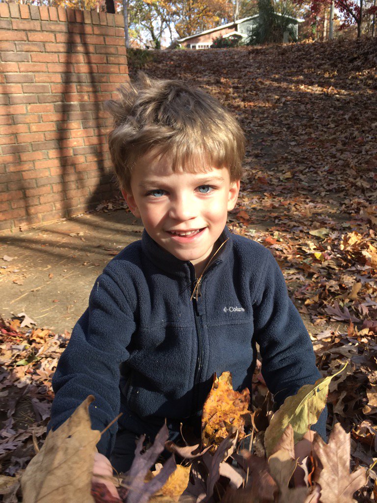 shawnacass's tweet photo. Playing in the leaves! #OptOutside @USPlayCoalition https://t.co/kRVtWSoUzt