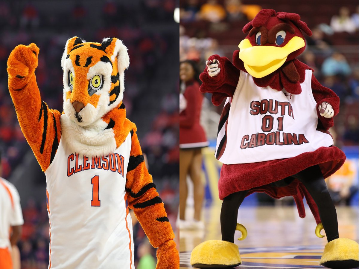 WLTX's tweet photo. Who are YOU rooting for tomorrow? #PalmettoBowl @ClemsonFB @GamecockFB #SCtweets #SCRivalry #RivalryWeek https://t.co/AHpkgBueKU