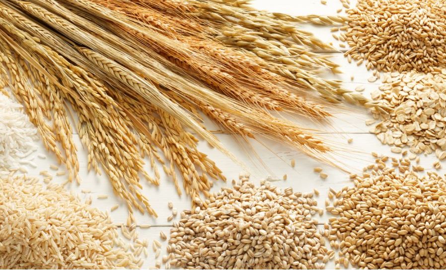 SoliaSpaOhio's tweet photo. #Grain is attributed to many skin conditions, including #acne, #eczema, #psoriasis, #seborrhea, etc. #skincare #DidYouKnow #wheat https://t.co/j3PZxMNN0d