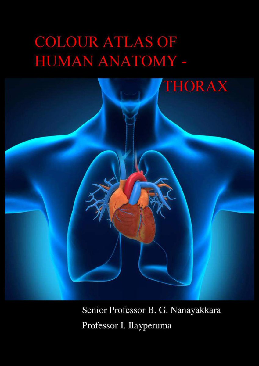 book functional molecular silicon compounds i