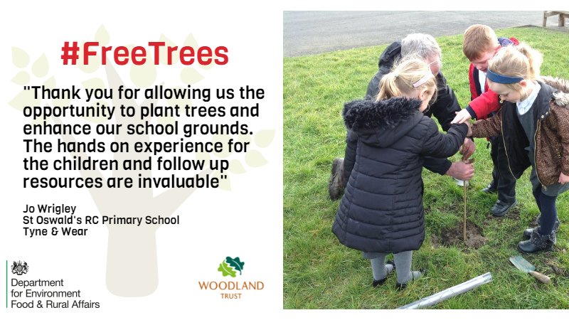 To apply for a #freetrees for #schools pack, take a look here : woodlandtrust.org.uk/get-involved/s… <a href="/ForestSchoolUK/">Forest Schools UK</a>