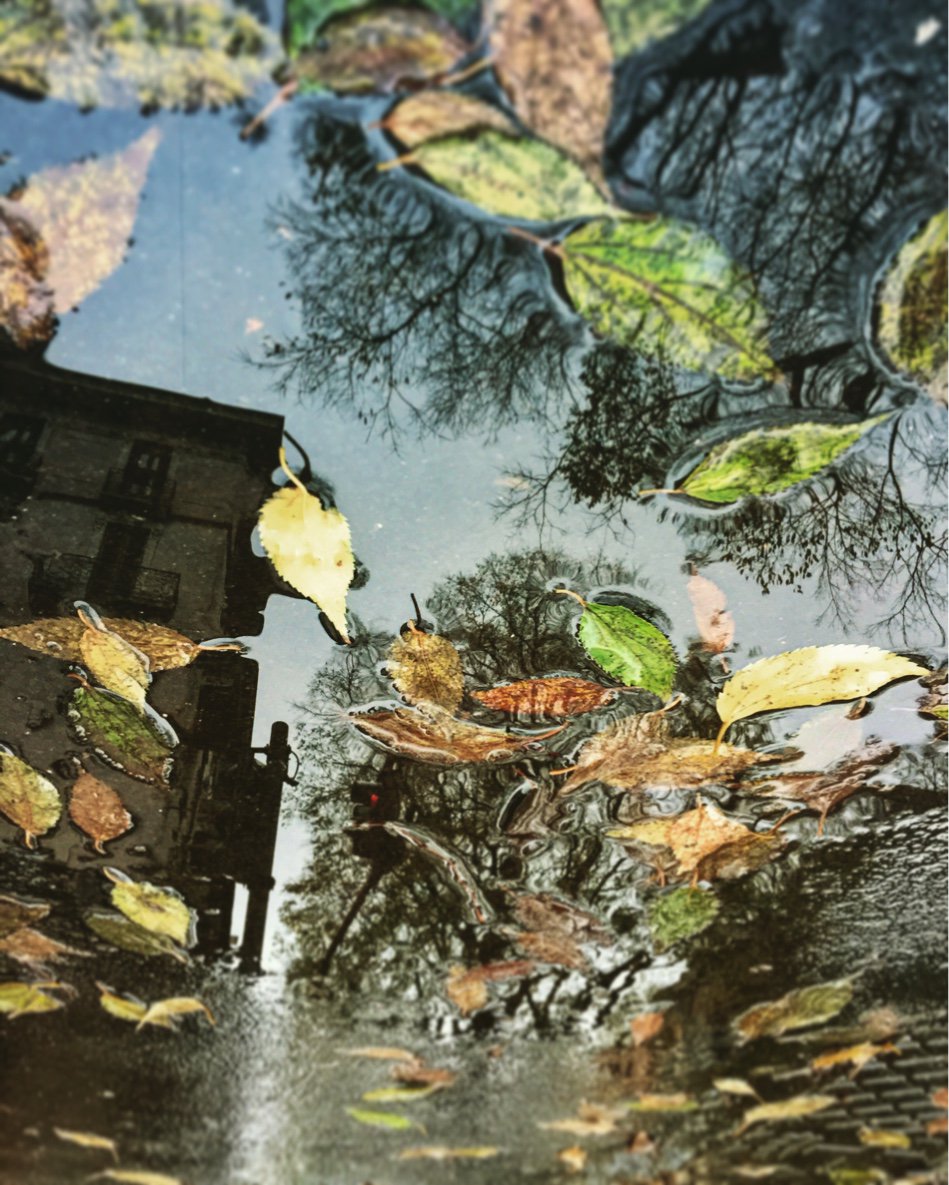 iamjuliod's tweet image. Fall #infrontofme