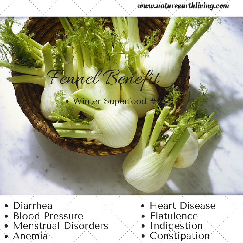 NForskolin's tweet photo. Fennel great for #winter! #healthyeating #healthyfood #weightloss #foodismedicine #greenpower #healthdate #healthythanksgiving #womenshealth https://t.co/kNj8JACsme