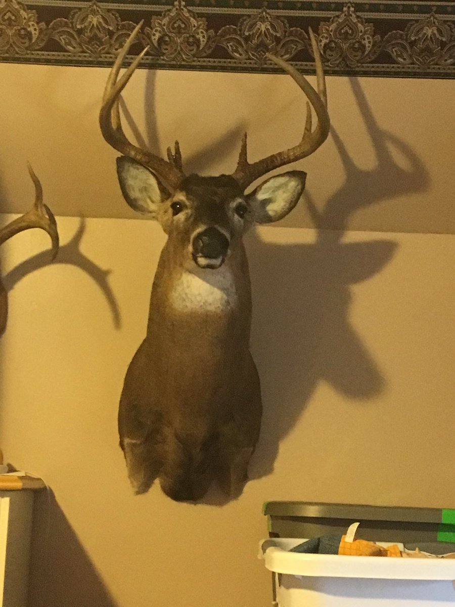 init_to_Winnett's tweet photo. Staring at this mount until Monday #repeatyear https://t.co/x7LD0u1y0g