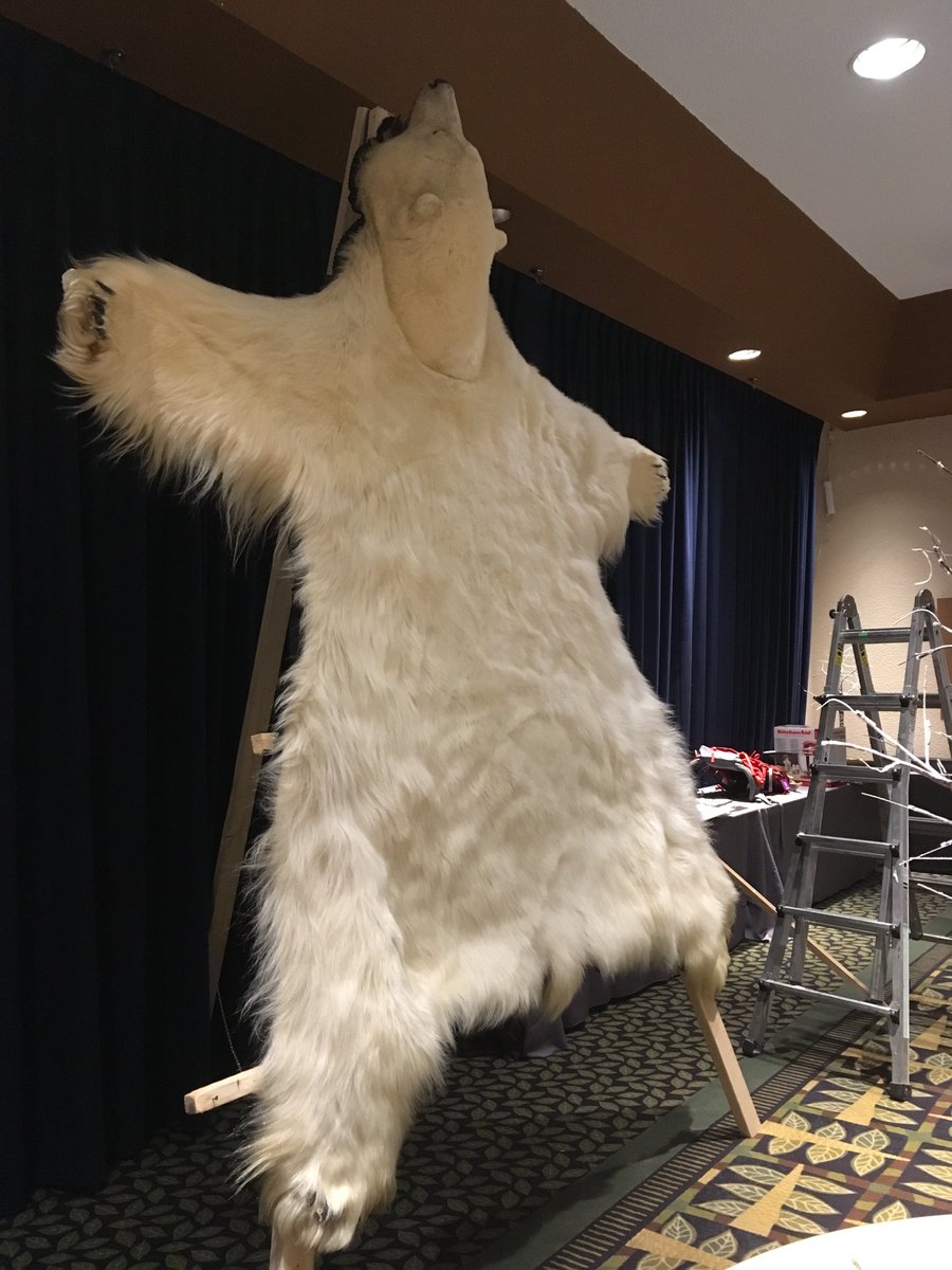 rickmaky's tweet photo. Someone is going to buy this @ #StantonFoundation Gala! An absolute beauty 10 feet long!!! #northcharity #lookdonttouch #youstainityoubuyit https://t.co/NV2MZgptih