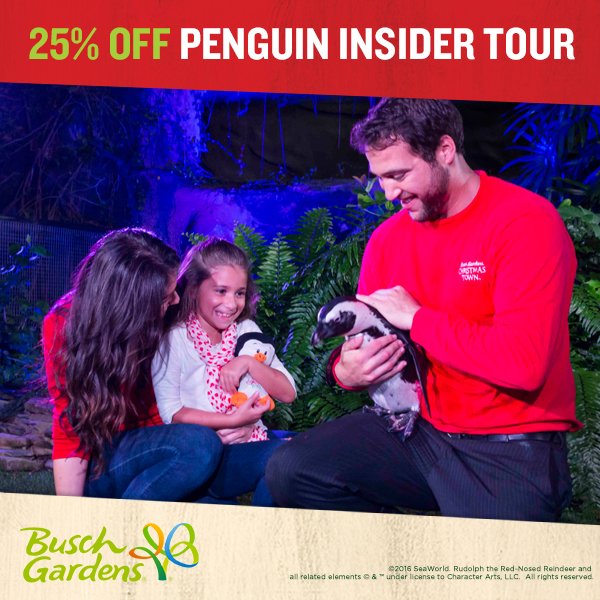 Busch Gardens Tampa Bay On Twitter Purchase A Penguin Insider