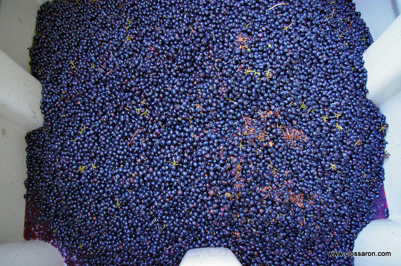 Join us Monday, December 5th at 6:30 p.m. for the Clos Saron wine dinner! For more info and menu, visit:  farmshopca.com/happenings/